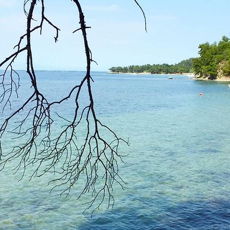 Villa Lily Skala Rachoni  Dış mekan fotoğraf