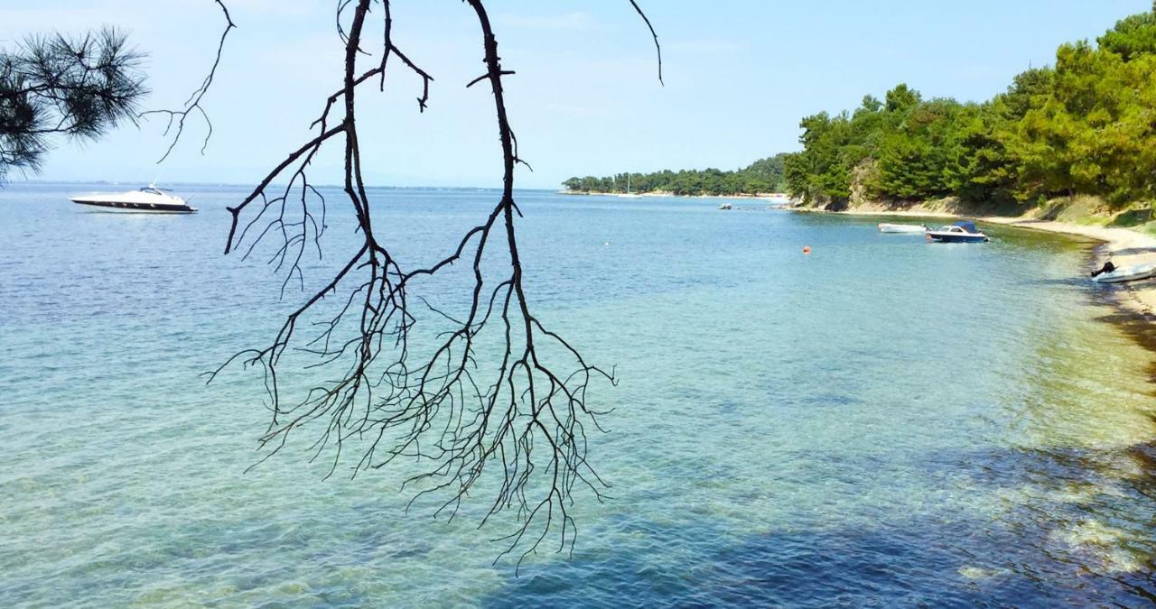Villa Lily Skala Rachoni  Dış mekan fotoğraf